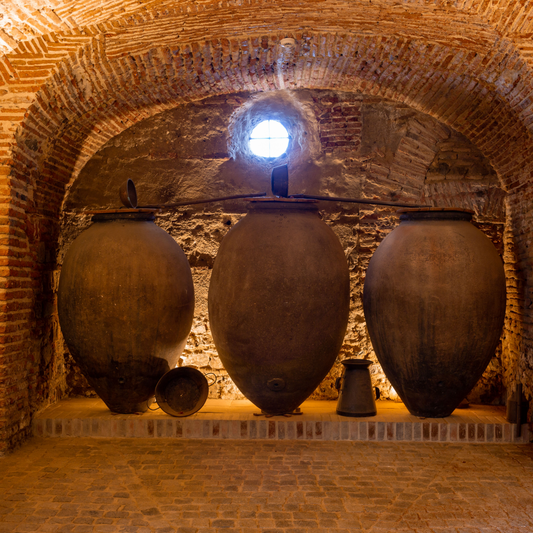 Visita à Adega - Prova de 2 Vinhos