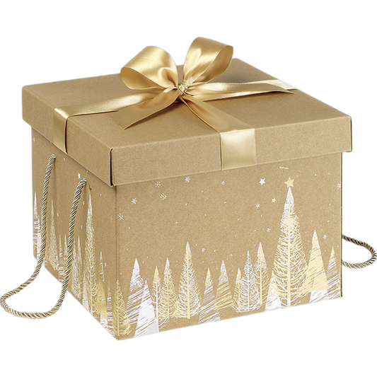 Caixa Cartão Cabaz / Presente Dourada Natal 27x27x20cm