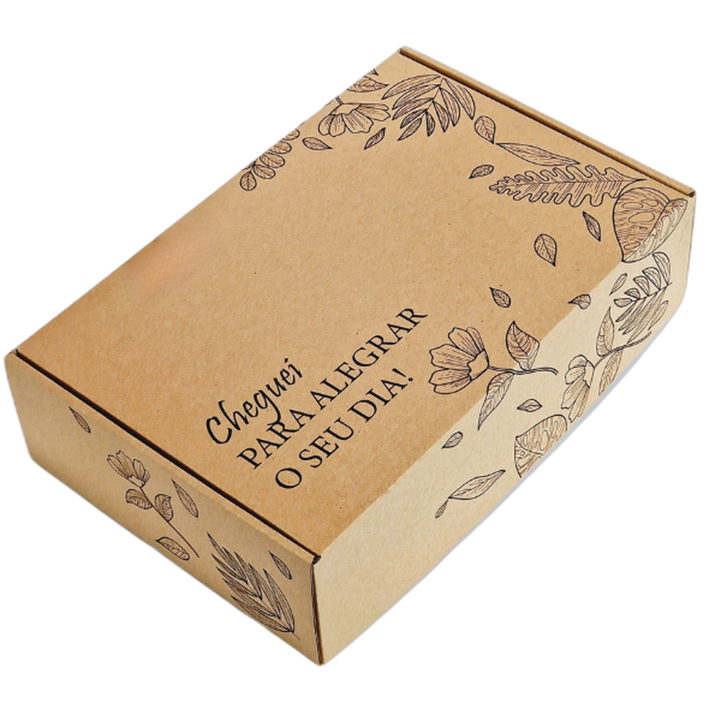 Caixa de Cartão - Padrão Natureza Cheguei - 37x27x20cm